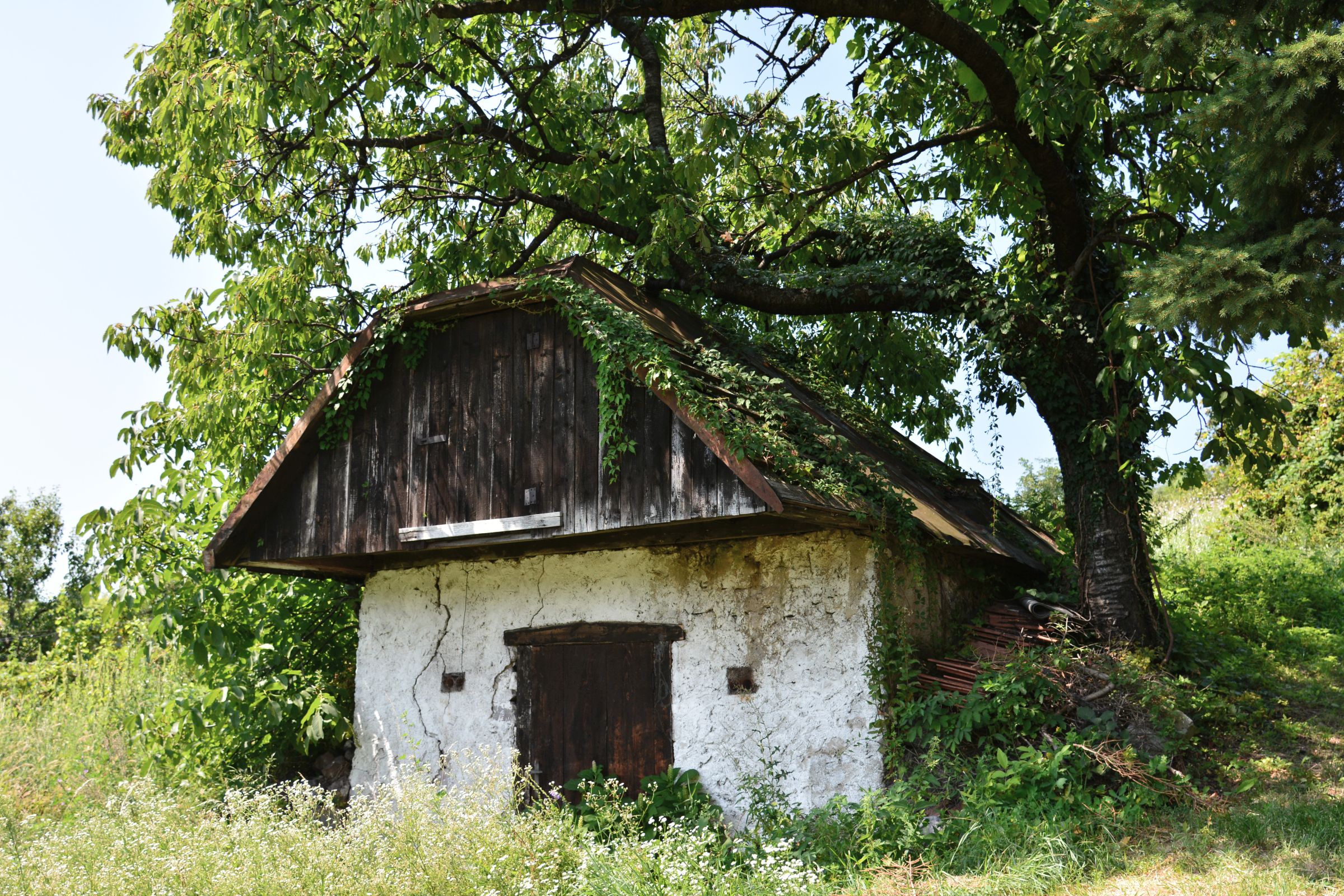 Vinohradnícka-jatka-©patrik-cimprich